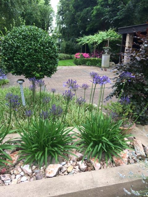 Agapanthus bed&breakfast Hoogkarspel Bagian luar foto